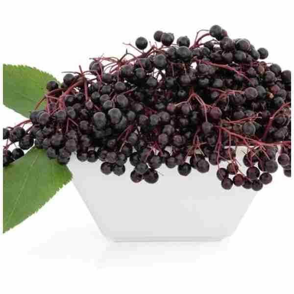 TFA / TPA ElderBerry | 10ml Concentrated Flavor for Eliquid | Self Mixing