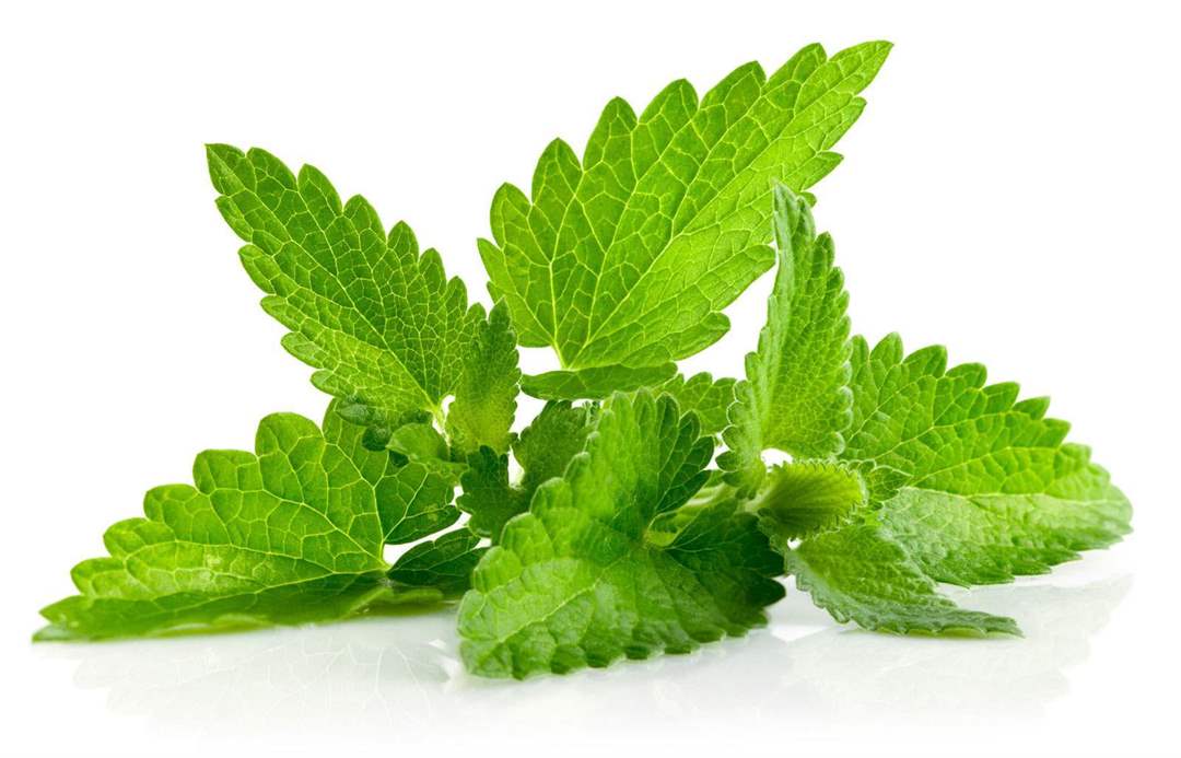 Mint | 10ml Concentrated Flavor for Eliquid | Self Mixing