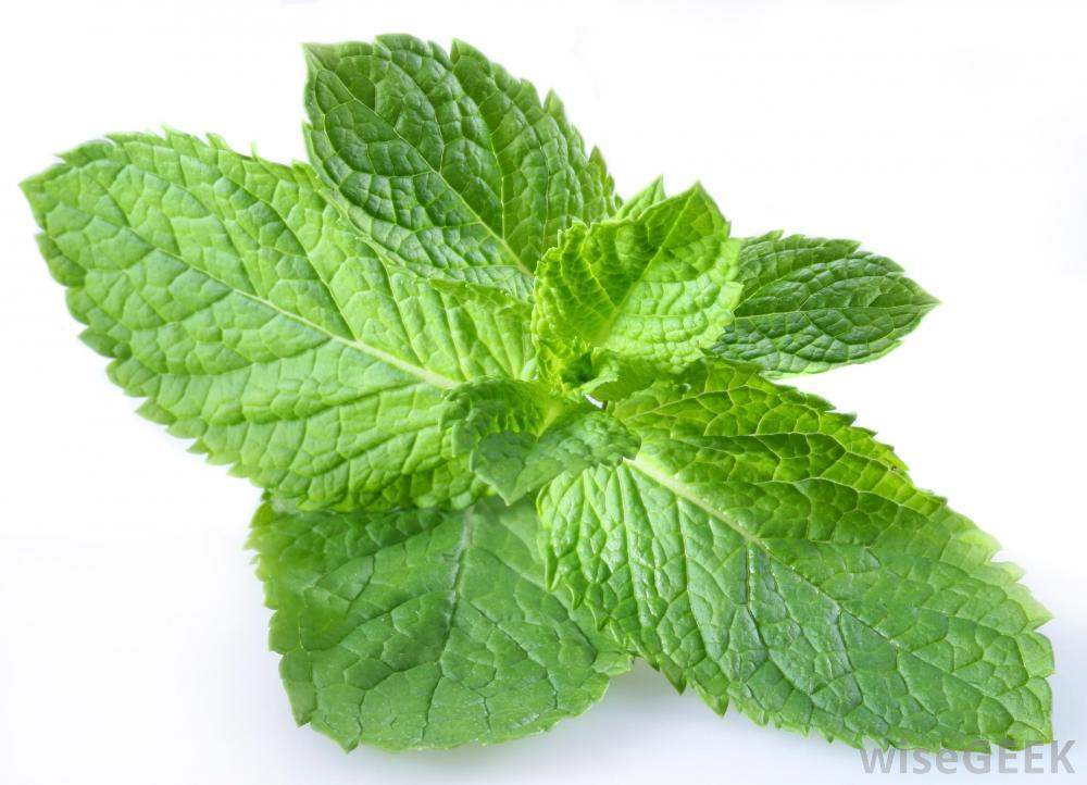 Peppermint | 10ml Concentrated Flavor for Eliquid | Self Mixing